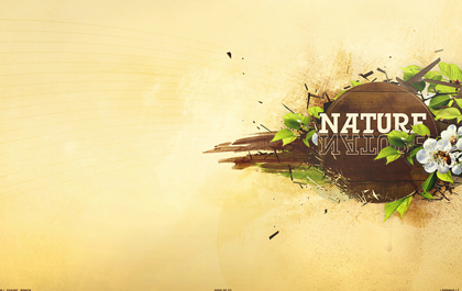 秋思短信轰炸平台